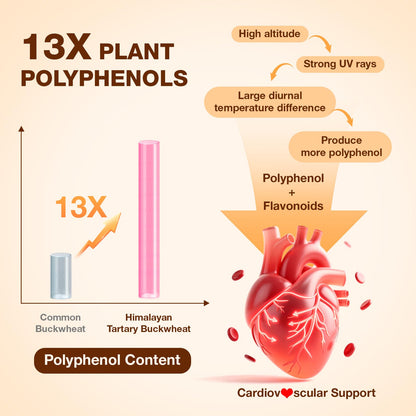 Nokuba Polyphenols Supplement for Immune Support | Himalayan Tartary Buckwheat Sourced | Polyphenol Superfood with Quercetin, Curcumin | Immune Booster, Antioxidant, Anti-inflammatory - 120 Capsules Nokuba buy supplements Au