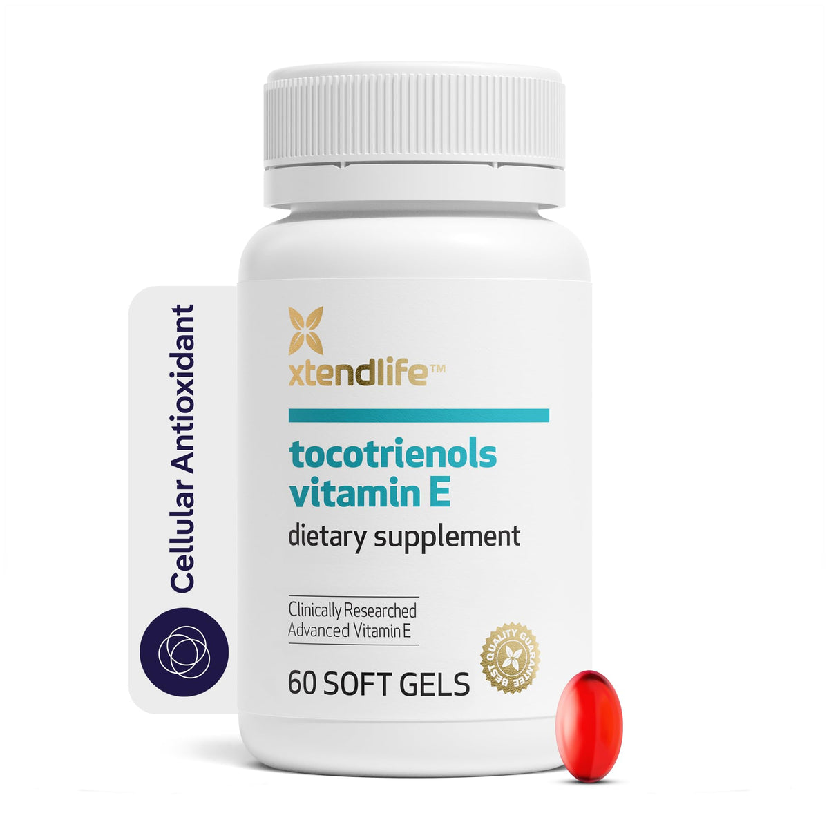 Supplement Product​Xtendlife Multi-Xtra Multivitamin for Immune, Heart & Energy Support - 40+ Bioavailable Vitamins, Minerals, Antioxidants & Herbs - for Men, Women & Children - 30 Day Supply - GlowUpCaUSA