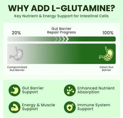 2 Pack Wormwood Black Walnut Drops- Gut Support with L-Glutamine | Gentle Intestinal Cleanse & Digestive Health – with Prebiotics & Zinc for Mood Immune & Energy – Vegan Gluten-Free