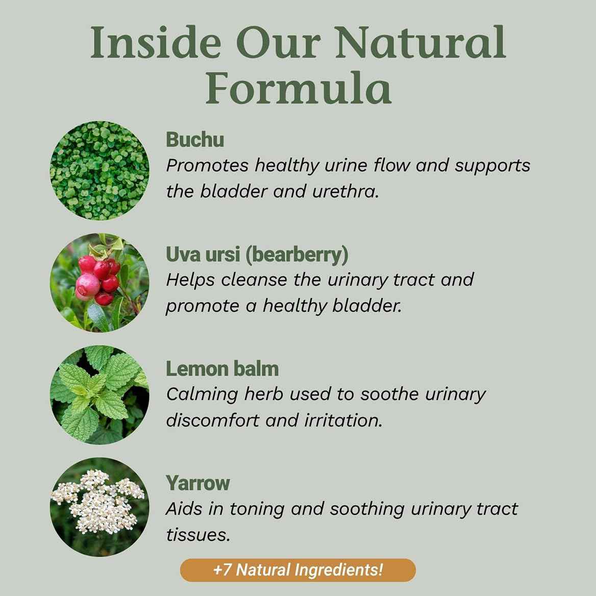 Native Remedies UTI-Clear for Urinary Tract and Bladder Health, 59 ml
