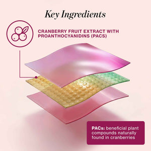 Love Wellness Urinary Tract* Quick Melt Strips - Fast-Dissolving UT Support with 36 mg PACs from Cranberry Fruit Extract - Promotes Urinary Health* - No Water Needed - Vegan and Sugar Free - 32 Strips