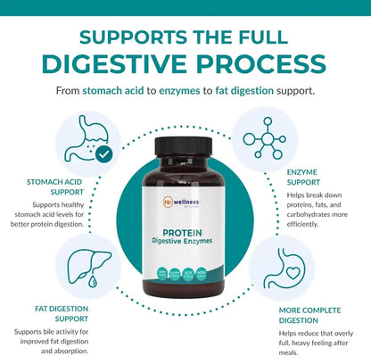Reignite Wellness by JJ Virgin | Protein Digestive Enzymes | Supports Protein, Carb & Fat Digestion | Helps Reduce Bloating & Improve Nutrient Absorption | 60 Servings