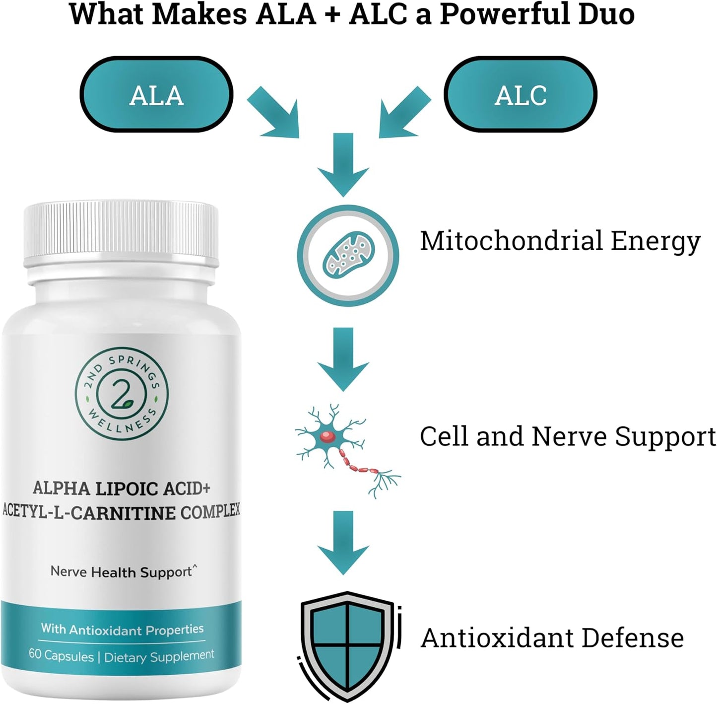ALA & ALC Complex + Vitamin D3 K2 Bundle | Energy, Metabolism, Cognitive Support, Bone Strength, Immune Health & Daily Wellness