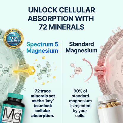Spectrum 5 Magnesium | 5-in-1 Complex + 72 Trace Minerals for Enhanced Absorption | Irish Sea Sourced | 500mg per Serving
