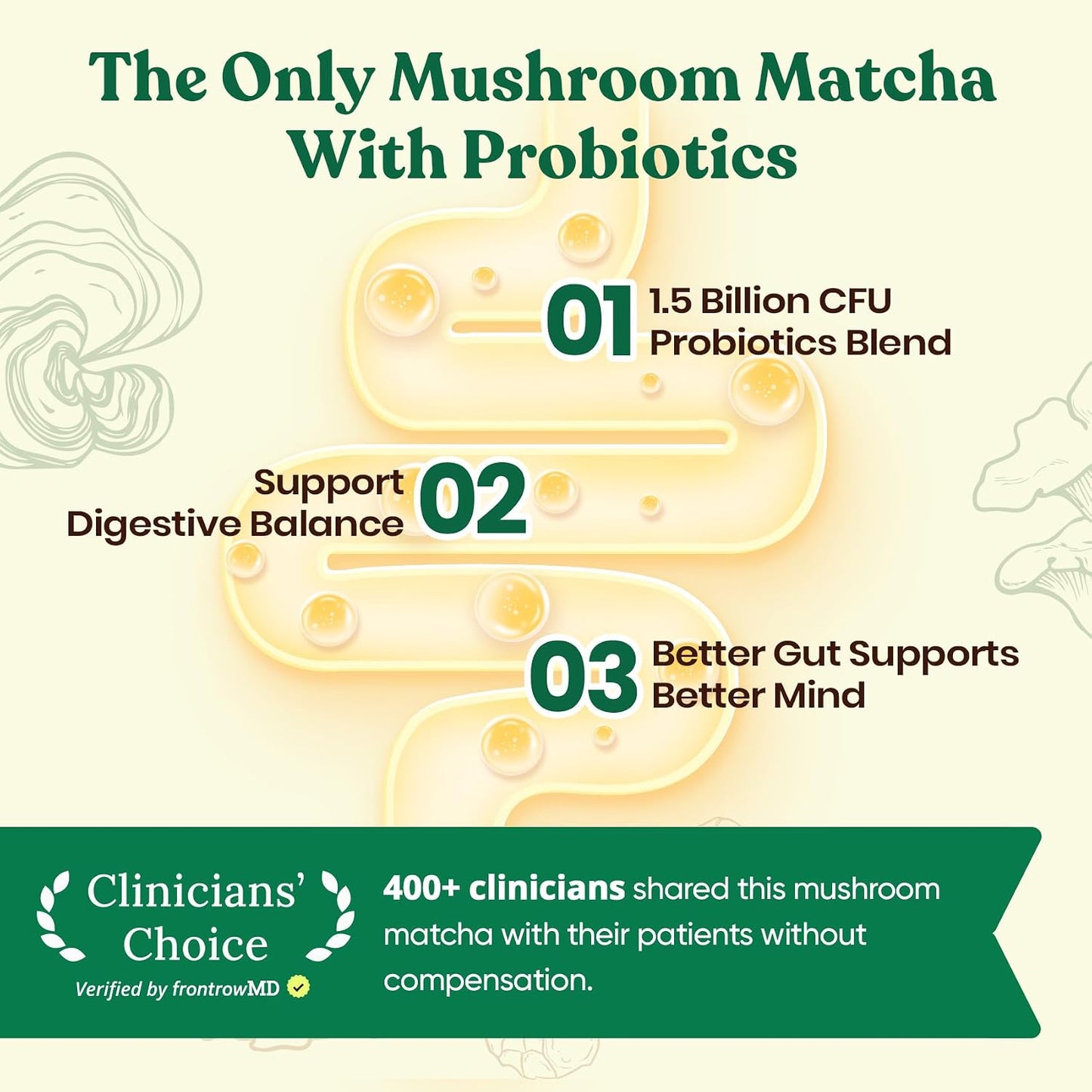 Venture Pal Mushroom Matcha Powder – 13 Superfood Mushroom Coffee Alternative with Ceremonial Grade Matcha Powder, 1.5B Probiotics for Focus, Energy & Digestion