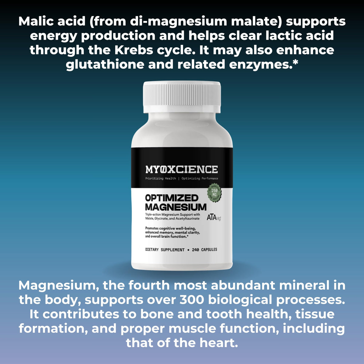 MYOXCIENCE Optimized Magnesium Glycinate + Magnesium Taurate (as ATAmag®) for High Brain Bioavailability to Support Stress Relief and Sleep | 80 Servings MYOXCIENCE buy supplements Au