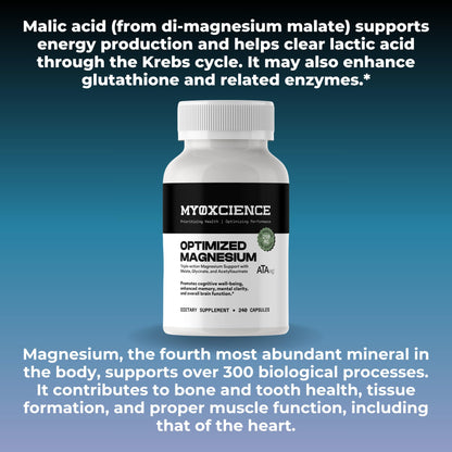 MYOXCIENCE Optimized Magnesium Glycinate + Magnesium Taurate (as ATAmag®) for High Brain Bioavailability to Support Stress Relief and Sleep | 80 Servings MYOXCIENCE buy supplements Au