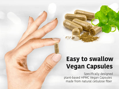 DR WAKDE'S Cardamom Capsules (60 Veg Caps, Plant-Based Supplement, Ayurvedic Herb, All Natural, Vegan) DR WAKDE's buy supplements Au