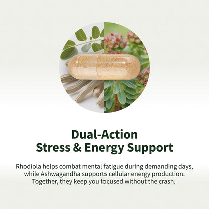Snap Supplements Energy & Metabolism Adaptogenic Herbal Complex, 60 Count | Ginger, Turmeric, Rhodiola Rosea, Vitamin B12, Support Metabolism, Natural Energy, 30-Day Supply, Vegan, Gluten-Free, Non-GMO
