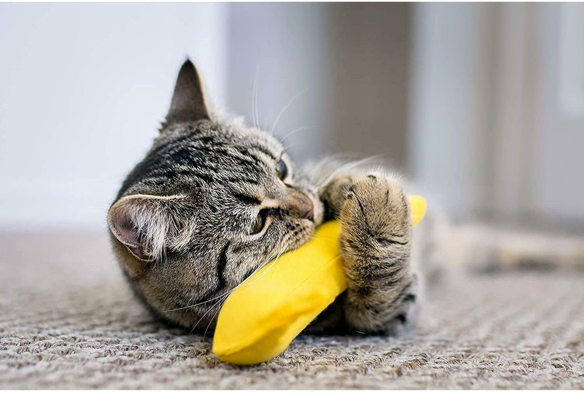 YEOWWW! DuckyWorld 100% ORGANIC CATNIP Leaf & Flower Cat Toy BANANA 3 PACK