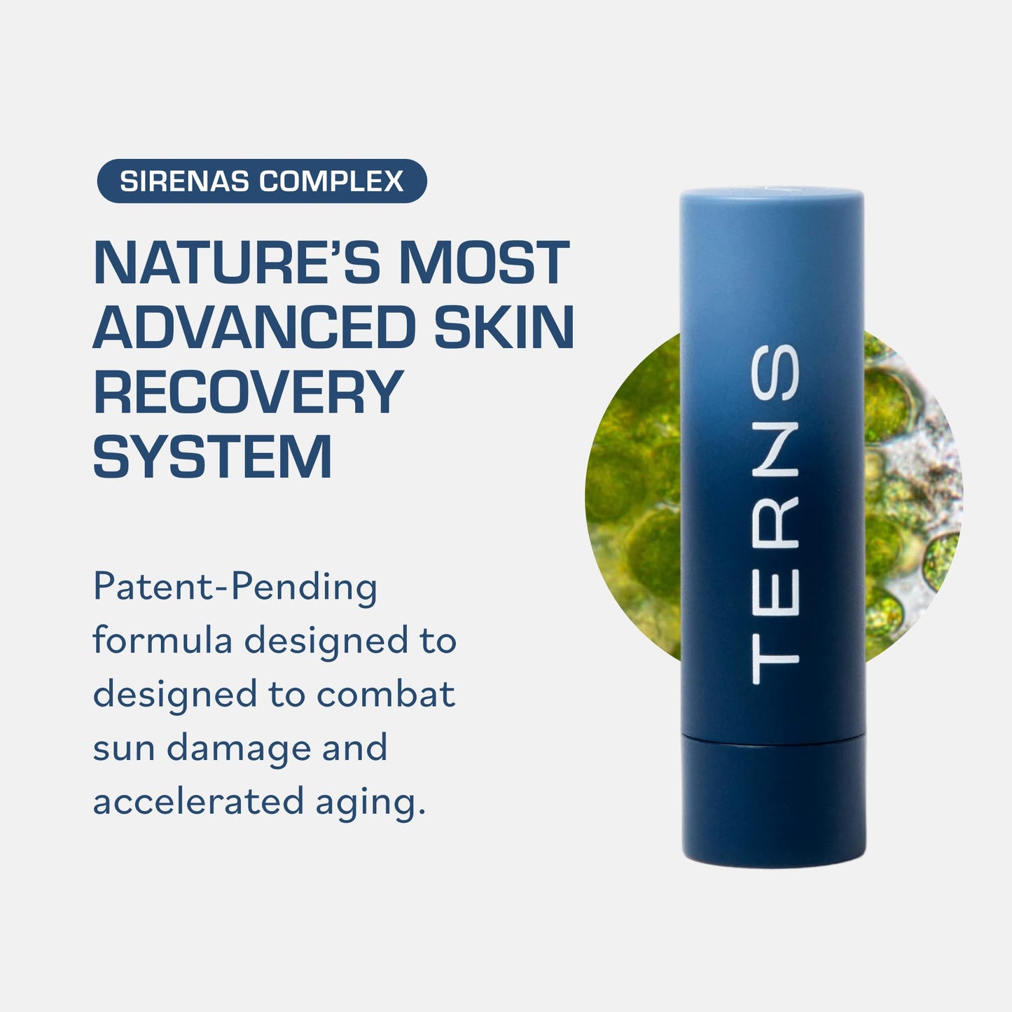 TERNS Everyday Lip Balm | Hyaluronic Acid + Baobab & Meadowfoam Oils, Algae-Powered Sirenas Complex OS, Refreshing Mint, Non-Sticky Cushion Glide, Cruelty-Free TERNSBuy Supplements Australia