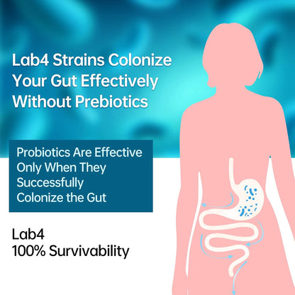 purmeo Probiotic for Stomach, Gut and Immune Health