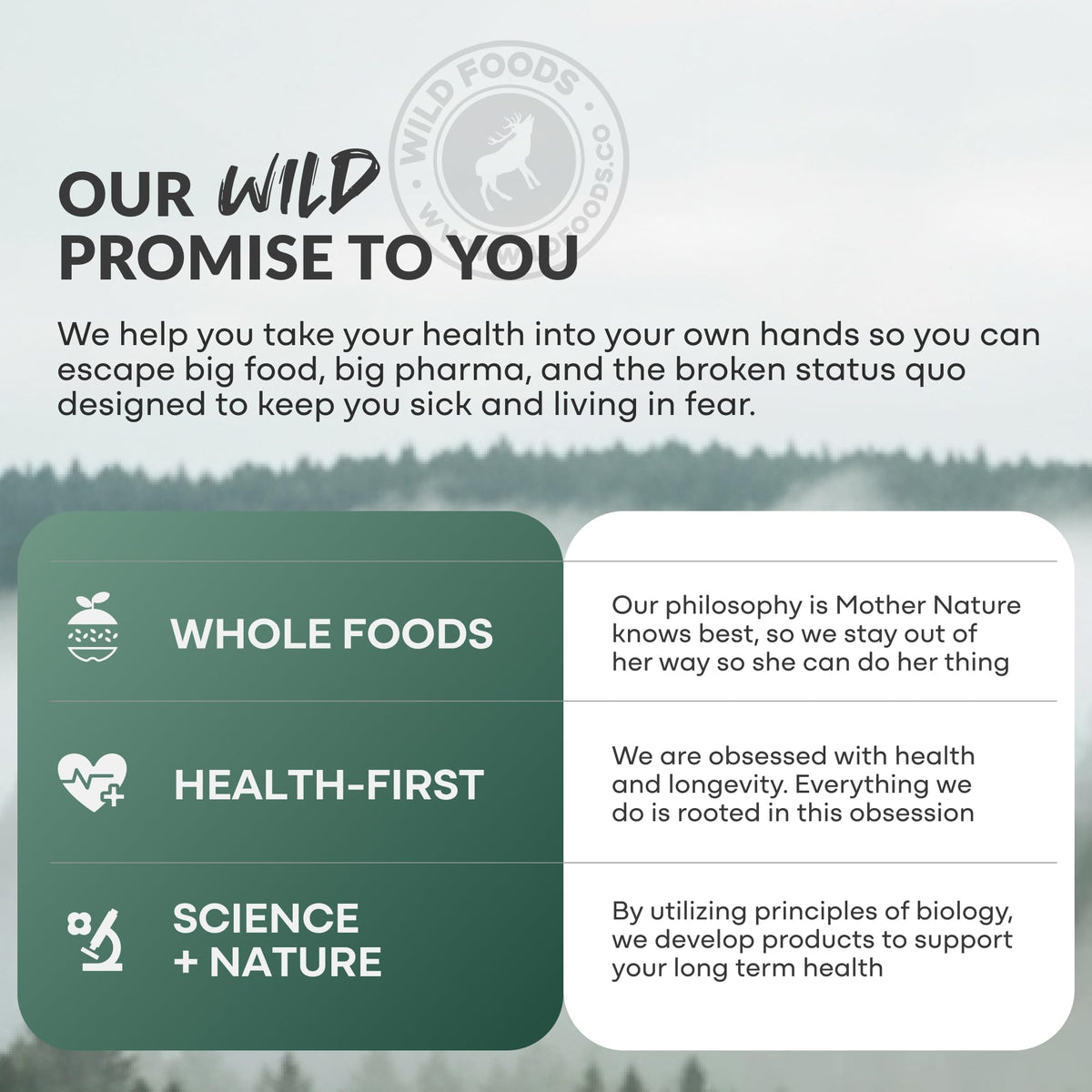 Wild Foods Magnesium Complex Supplement with 7X Forms, 90 Capsules | High Absorption, Full Spectrum, Easy Digestion | 500mg Glycinate, Bisglycinate, Malate, Orotate, Citrate, Taurate