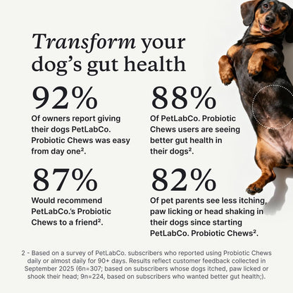 PetLab Co. Probiotic Chews for Dogs, 30 Soft Chews, Salmon | 8-strain probiotic blend with prebiotics to support digestive health, skin and seasonal allergy support