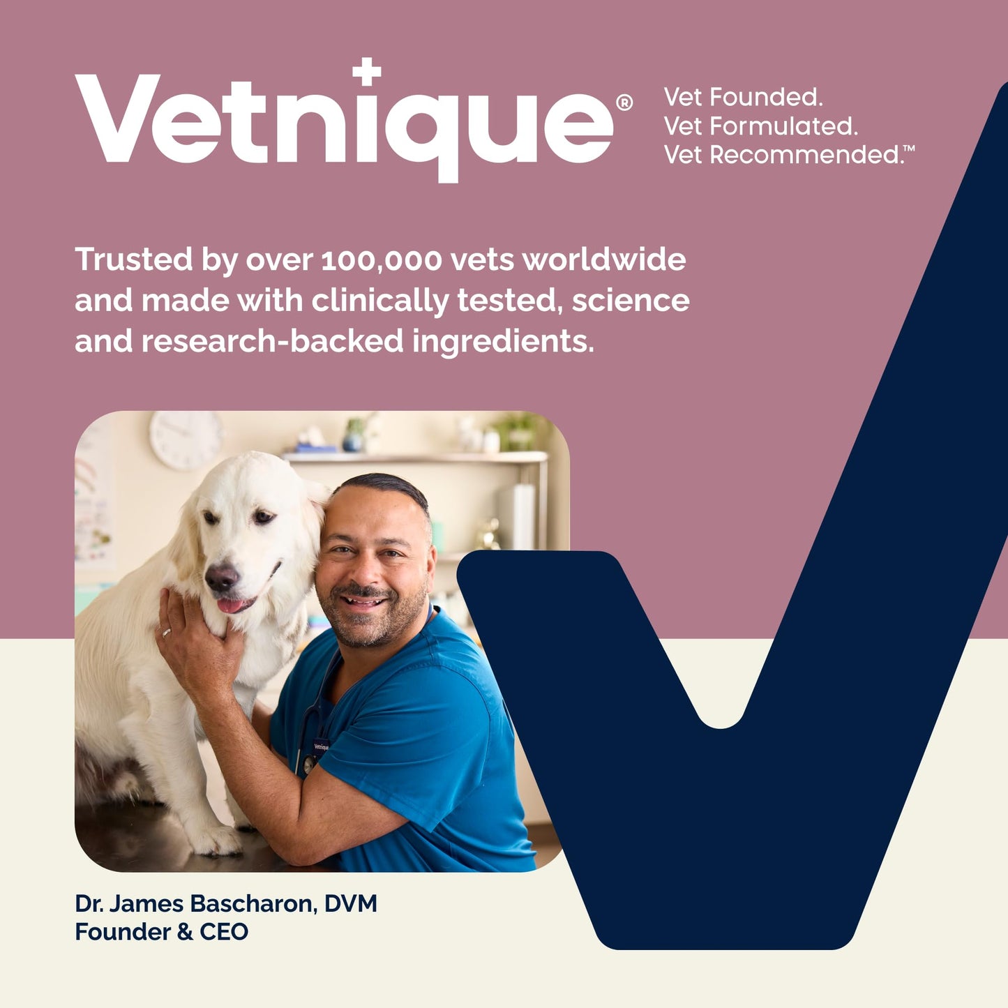 Vetnique Oticbliss Cat & Dog Ear Infection Treatment | Dog Ear Allergy Relief Drops, MicroSilver Yeast Infection Treatment for Dogs, Hydrocortisone for Itching, Redness Swelling (Ear Allergy Drops) Vetnique buy supplements Au