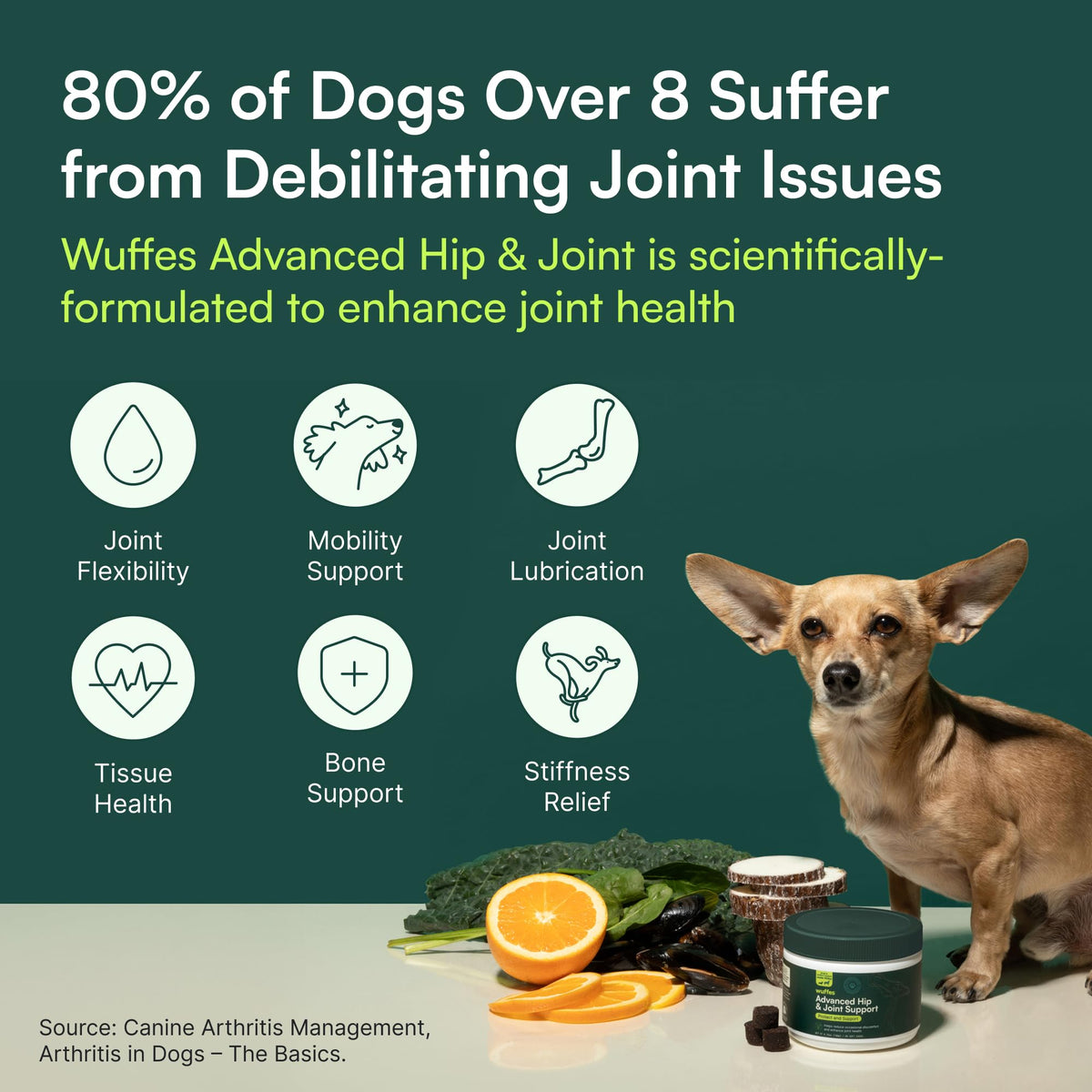 Wuffes Advanced Dog Hip and Joint Supplement with Glucosamine, Chondroitin, Omega 3, MSM, and Green Lipped Mussel, 60 Pork Flavored Chews for Small and Medium Dog Breeds WuffesBuy Supplements Australia