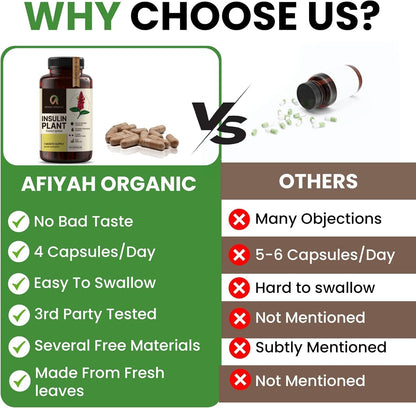 Afiyah Organic - Premium Quality Costus Igneus (Insulin Plant) Capsules - Easy to Swallow 120 Veggie Capsules (1 Month Supply) - Made in the USA - Including Complete Health Support Program Afiyah Organic buy supplements Au