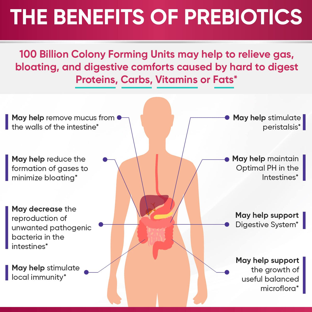 Wholesome Wellness Dr. Formulated Raw Probiotics for Women 100 Billion CFUs Capsules with Prebiotics, Digestive Enzymes, Approved for Adults, Shelf Stable Supplement Wholesome Wellness buy supplements Au
