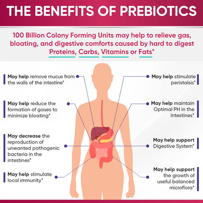Wholesome Wellness Dr. Formulated Raw Probiotics for Women 100 Billion CFUs Capsules with Prebiotics, Digestive Enzymes, Approved for Adults, Shelf Stable Supplement Wholesome Wellness buy supplements Au