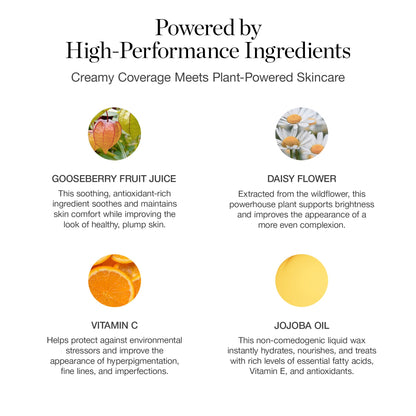 Ogee Complexion Perfecting Liquid Foundation - Lightweight Tinted Moisturizer For Face (Spruce 12.75N - Deep, Bronze Undertones) - with Vitamin C & Jojoba Oil - Certified Organic & Made in USA OgeeBuy Supplements Australia
