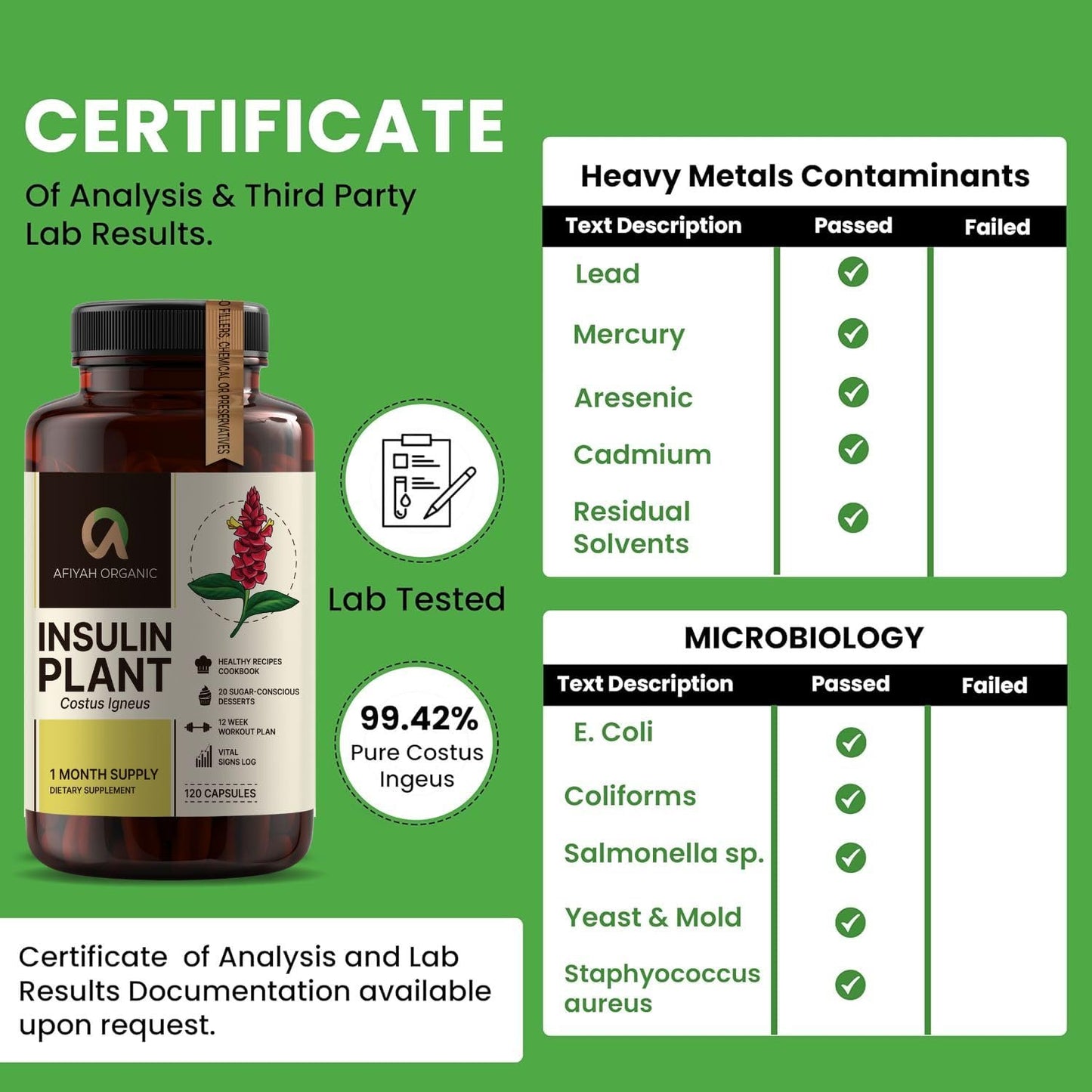 Afiyah Organic - Premium Quality Costus Igneus (Insulin Plant) Capsules - Easy to Swallow 120 Veggie Capsules (1 Month Supply) - Made in the USA - Including Complete Health Support Program Afiyah Organic buy supplements Au