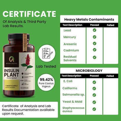 Afiyah Organic - Premium Quality Costus Igneus (Insulin Plant) Capsules - Easy to Swallow 120 Veggie Capsules (1 Month Supply) - Made in the USA - Including Complete Health Support Program Afiyah Organic buy supplements Au