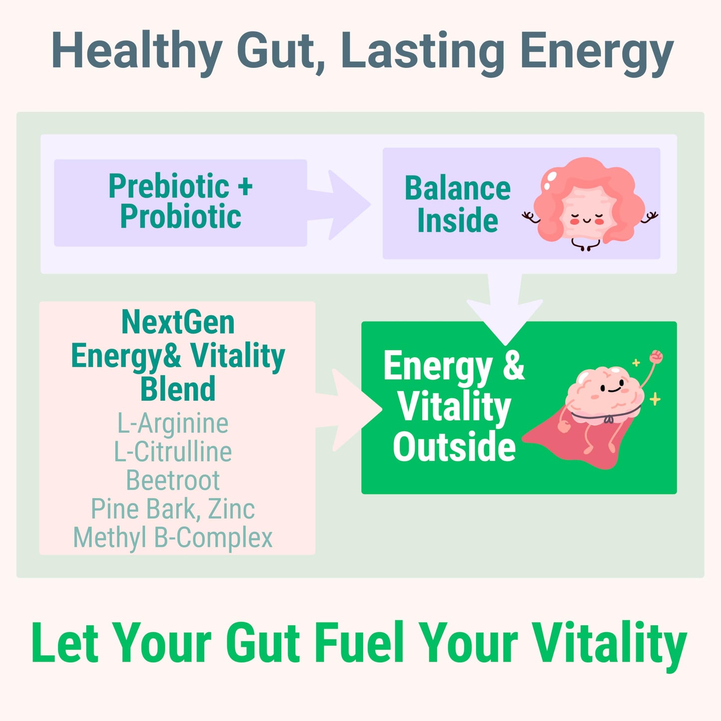 Pine Bark Extract L-Arginine L-Citrulline Beetroot Probiotic Fiber Methylated B Complex Zinc Gummies for Women Men Adults Kids w. Chicory Root Inulin 5-MTHF B6 P5P Powder Capsule Pill Supplement Alt SHIZAMBuy Supplements Australia
