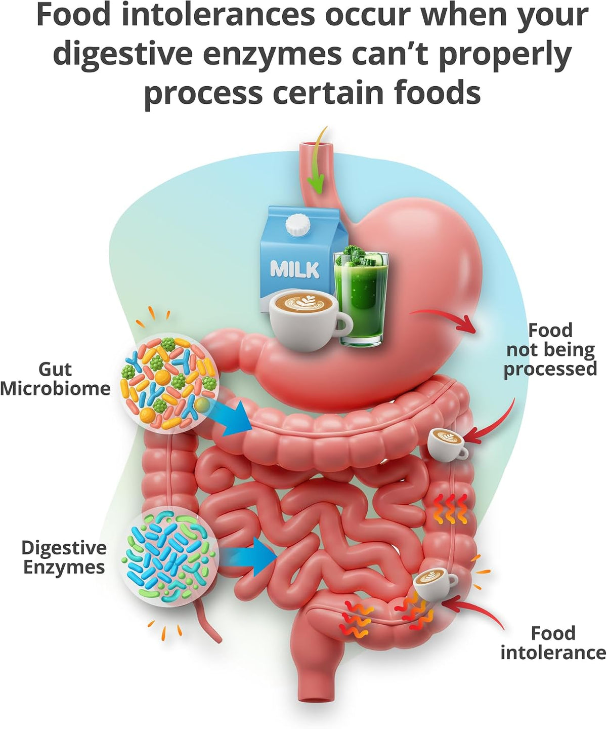 5Strands Food & Beverage Intolerance, Vitamins & Minerals Imbalance & Environmental Sensitivity Test, at Home Hair Analysis for Adults & Kids, Full Body Insight, Results in 4 Days