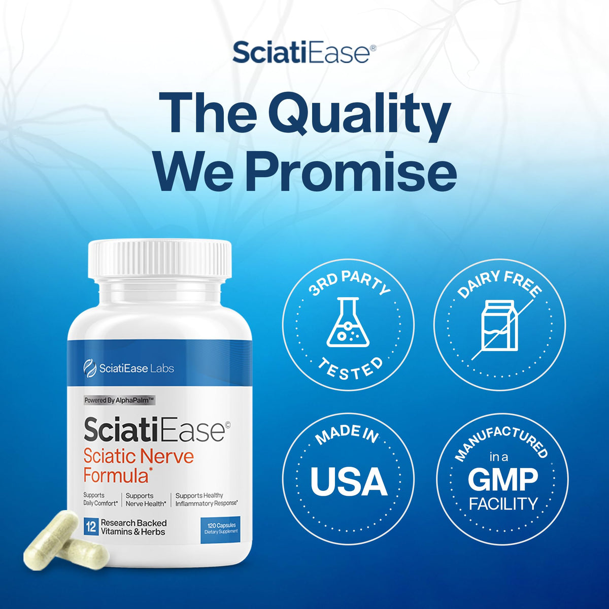 SciatiEase Sciatic Nerve Health Support Supplement - Nerve Support Formula with AlphaPalm, Pea, Vitamin B Complex, Alpha Lipoic Acid 300mg - 3 Bottles SciatiEaseBuy Supplements Australia
