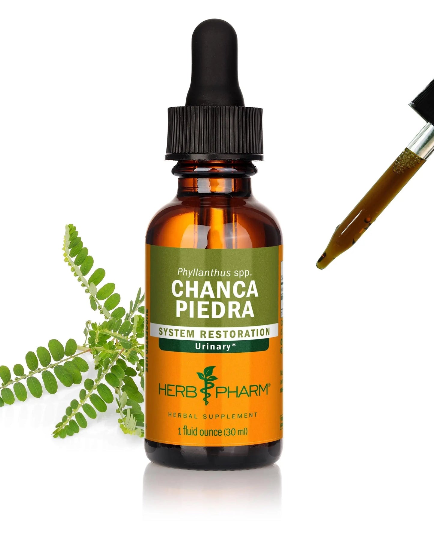 Herb Pharm Chanca Piedra Liquid Extract for Urinary System Support, 1 Fl Oz Herb PharmBuy Supplements Australia