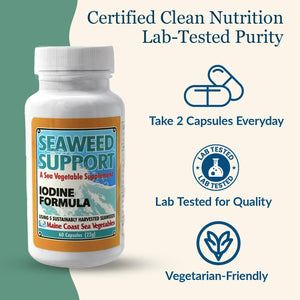 Maine Coast Sea Vegetables Seaweed Support Iodine Formula | Source of Iodine from Seaweed | Daily Use Iodine Supplement | Organic Alaria, Rockweed, Sea Lettuce, Dulse & Bladderwrack blend | 60 Capsule Maine Coast Sea VegetablesBuy Supplements Australia