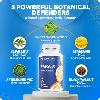 para-X para Cleanse Digestive Support Capsules – Black Walnut Hull, Wormwood, Artemisinin, Berberine, Olive Leaf | Herbal Formula for Adults | 90 Veggie Caps para-X