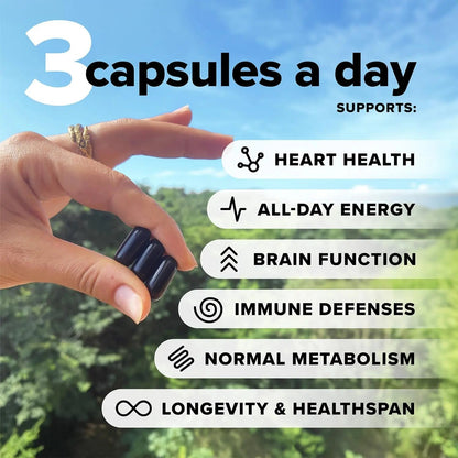 Complement Essential Vegan Multivitamin for Men & Women (60 Servings, 180 Capsules) with Omega-3 DHA & EPA, B12, Vitamin D3 & K2 Complement
