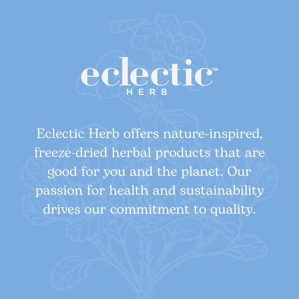 Eclectic Institute Stone Root O 2 Ounce