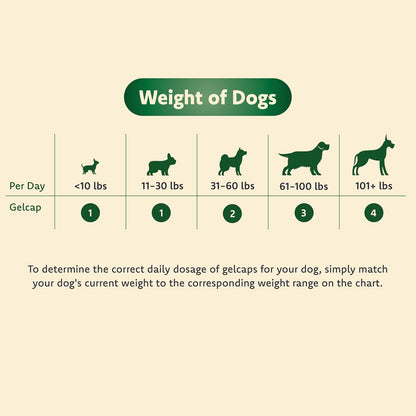 Vision Supplement for Medium to Large Dogs, 11+ lb, 90 Count | Veterinarian-Formulated Supplement Specifically Supports Eye Health; Unflavored & Easy to Give