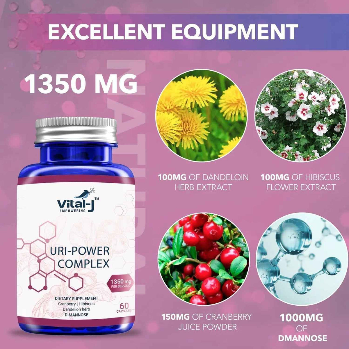 4-IN-1 URI POWER COMPLEX 1350mg - D Mannose, Cranberry, Hibiscus, and Dandelion Herb - Naturally Cleanse the Bladder and Urinary Tract 60 capsules – Specialized Approach for UTI Avoidance