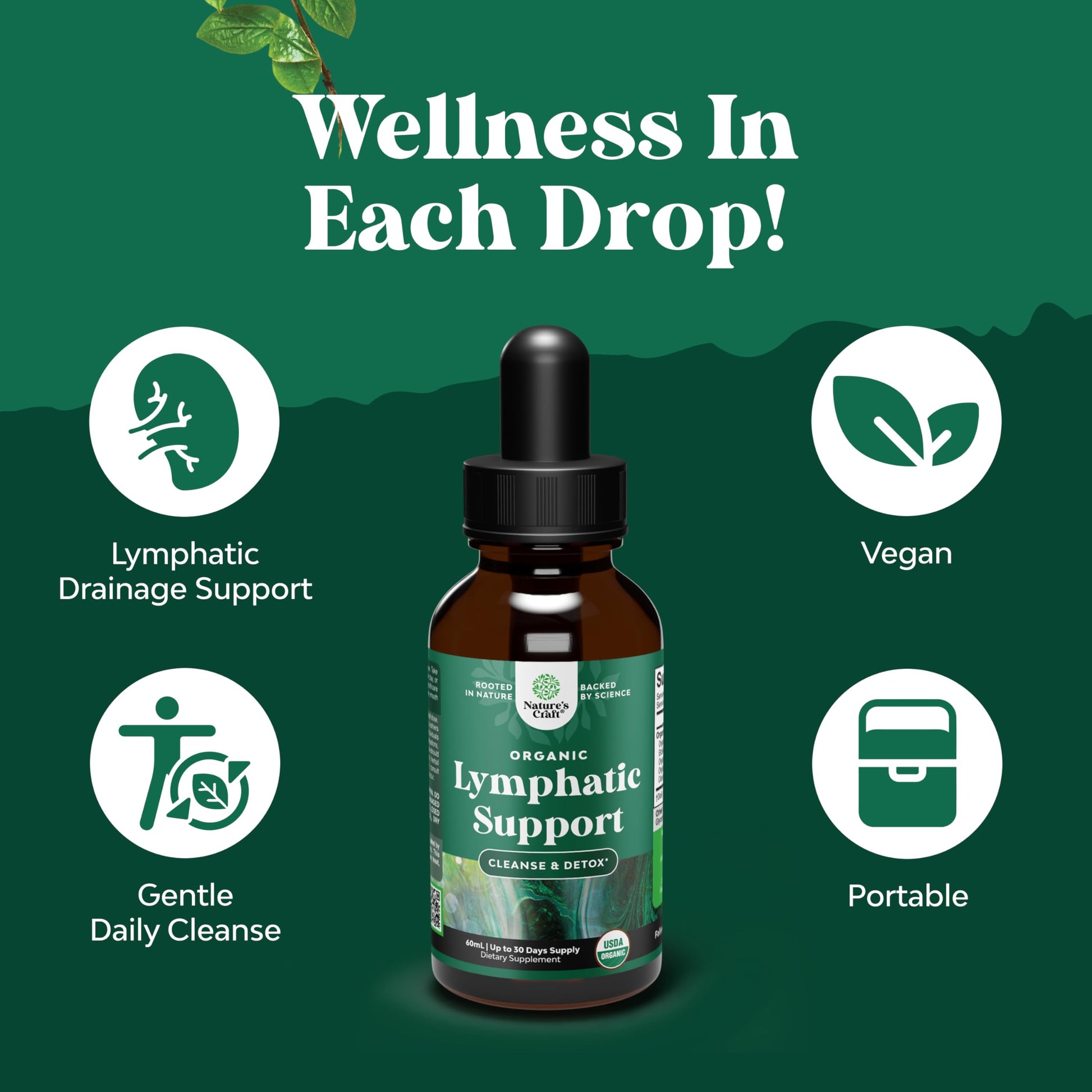 Organic Lymphatic Support Drainage Drops - Herbal Lymphatic Cleanse and Immune Support Supplement with Organic Echinacea Goldenseal & Red Clover Extract - Vegan Non GMO and Alcohol Free - 2 Fl Oz Natures Craft buy supplements Au