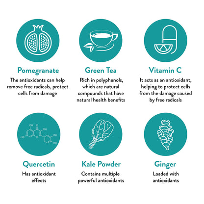 Keto-Green Chocolate Vegan Protein Powder for Women by Dr. Anna Cabeca | Plant Based Protein Powder with Greens | Dairy Free, Sugar Free | Protein Shake 40 Servings