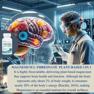 Kappa Nutrition Powered by Magbrain™ Magnesium L-Threonate Plant-Based, 150 Vegan Capsules, 420mg Elemental Magnesium (3 Capsules) from 2,253mg, Brain, Sleep & Muscle Support. KAPPA NUTRITIONBuy Supplements Australia