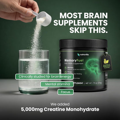 Memory Fuel Creatine Monohydrate Powder for Brain Energy & Focus | 5,000mg Micronized Creatine with L-Theanine, Choline & Magnesium, Cognitive Support for Adults, No Crash, 1 Scoop Daily