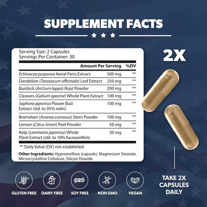AMERICAN VITALITY LymphaVive Lymphatic Drainage Supplements for Men & Women - Lymphatic Support with Bromelain, Echinacea, Burdock Root, Dandelion, Rutin, Kelp - 60 Capsules AMERICAN VITALITY buy supplements Au