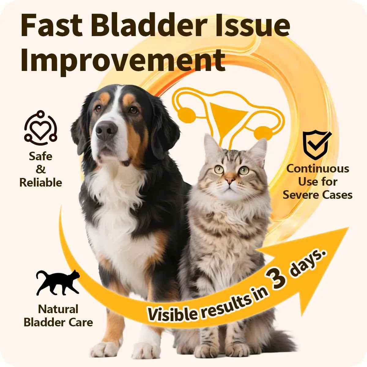 Cassiel Pet Bladder Supports Chews for Urinary Tract Health, Infection Treatments, Bladder Health, Dog UTI, Bladder Stones, Incontinence Support, Urinary Pain Relief for Cat & Dog 10 Chews (1 Bottle)