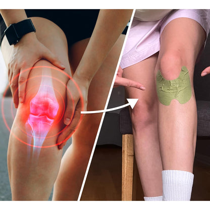 Wellnee Knee & Joint Wellness Bundle – Herbal Patches (10 pcs) & Support Capsules (90 servings)