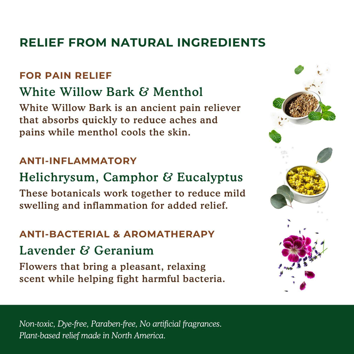 Nature's Willow Willow Balm Natural Pain Relief Cream for Muscles & Joints | Fast-Acting with Willow Bark & Menthol | Free from Artificial Fragrances & Dyes | 6-Pack | 3.5 fl oz