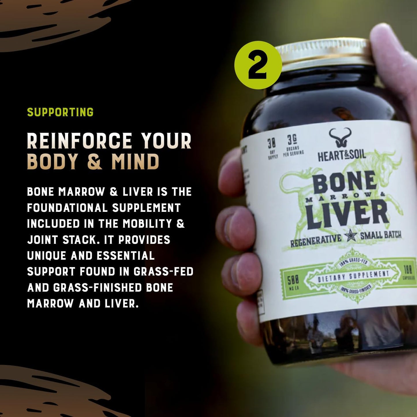 Immune Support Stack – Includes Histamine & Immune Supplement, Bone Marrow & Liver, Grass-Fed Colostrum for Digestive Health, Gut Balance, and Overall Wellness
