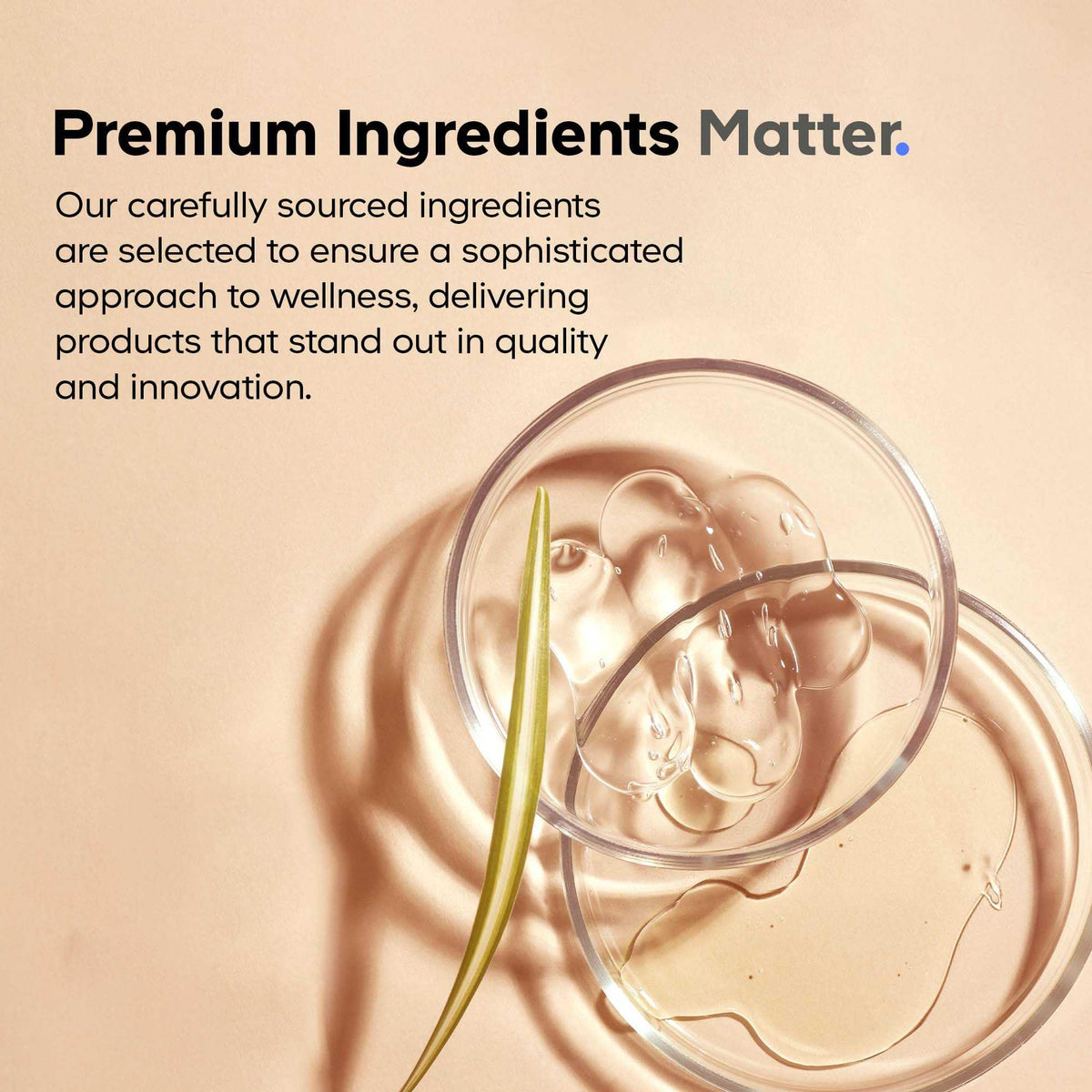 Codeage Akkermansia Muciniphila Probiotic Ultra - High-Potency 500M AFUs Akkermansia Probiotic Supplement - Enhanced Daily Probiotic & Prebiotic, Chicory Inulin - 3-Month Supply - 90 Capsules CodeageBuy Supplements Australia