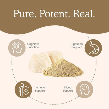Lions Mane (60g) and Cordyceps (60g) Mushroom Extract Powder Bundle - Mushroom Supplement for Cognition, Energy and Endurance