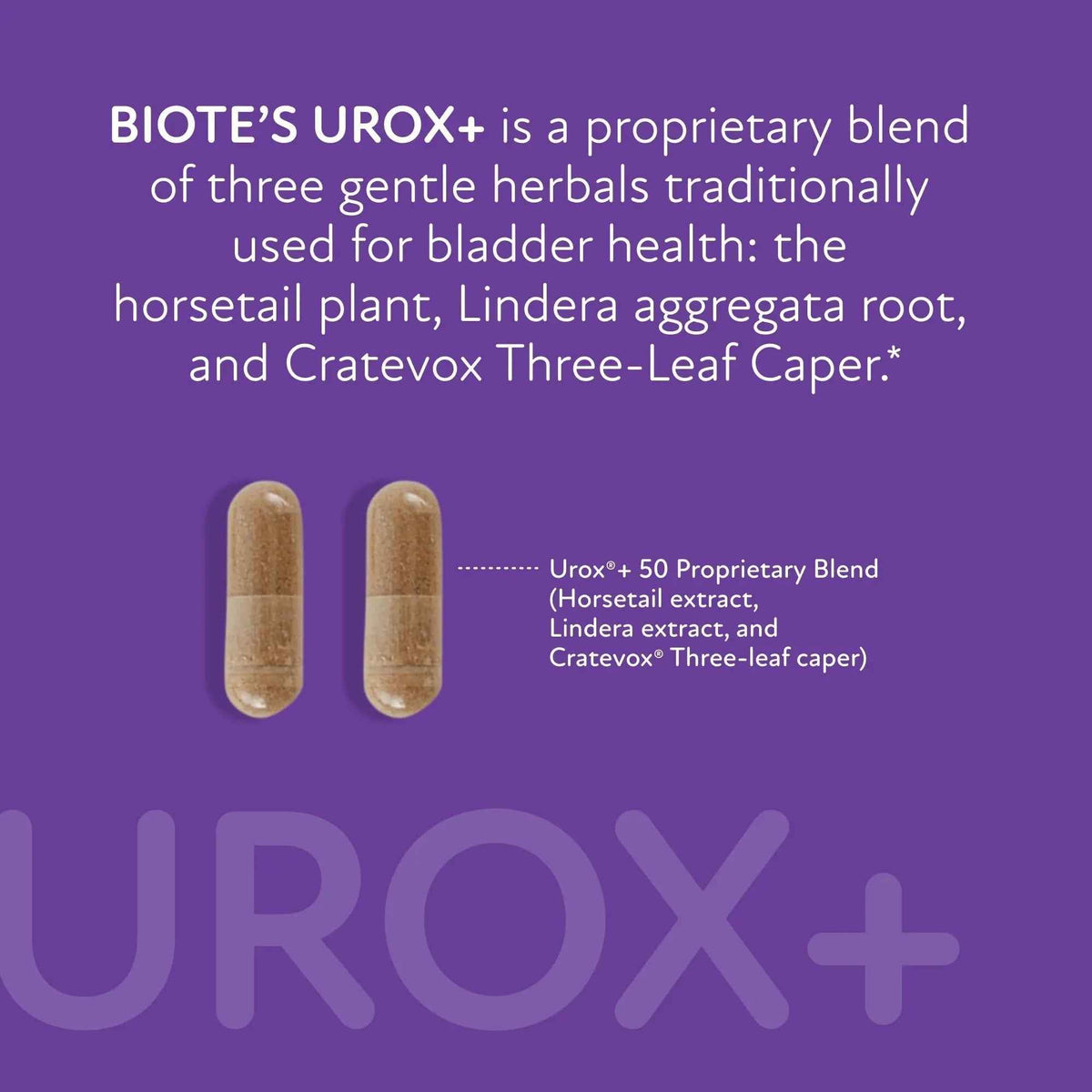 Biote Nutraceuticals - Urox+ - Bladder Health (60 Capsules)