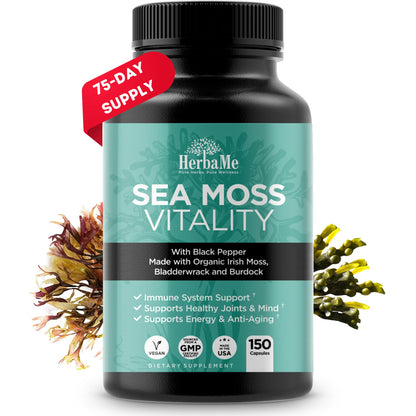 HerbaMe Organic Irish Sea Moss with Bladderwrack, Burdock Root & Black Pepper Extract, 150 Capsules, Thyroid Support, Natural Iodine Source, Promotes Immune System, Cell Food, Alkaline Supplement HerbaMe buy supplements Au