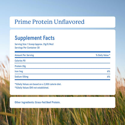 Equip Prime Chocolate Protein Powder - Gut-Friendly, No Sugar Protein Shake Powder with Grass-Fed Beef & Natural Collagen - Rich & Creamy Mix - 21g Per Serving - Whey & Dairy-Free (30 Scoops)